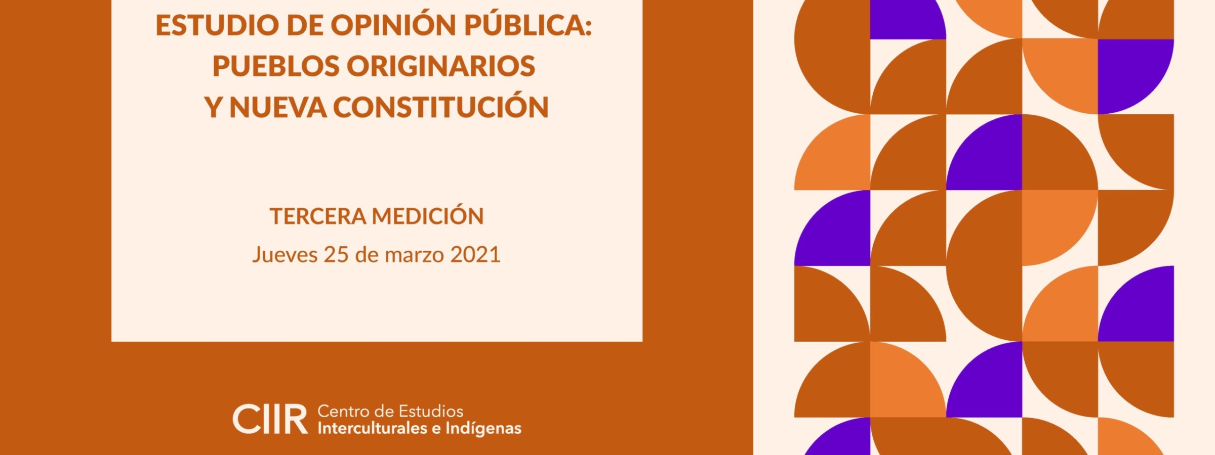 Estudio de Opinión Pública Pueblos Originarios y Nueva Constitución