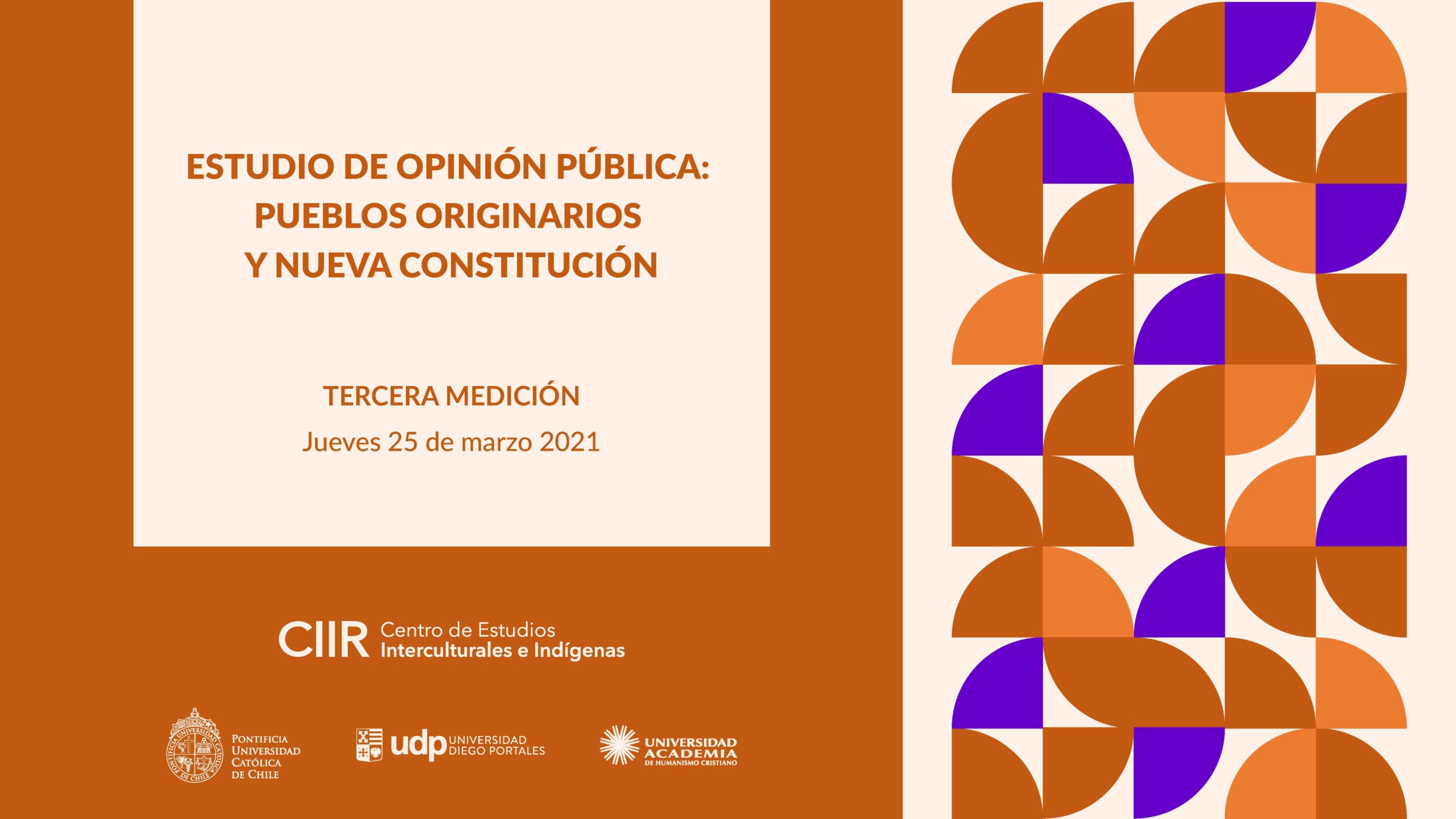 Estudio de Opinión Pública Pueblos Originarios y Nueva Constitución